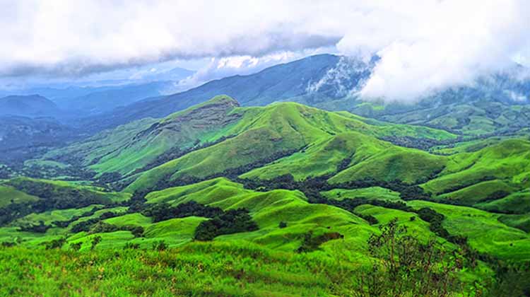 Chikmagalur-420